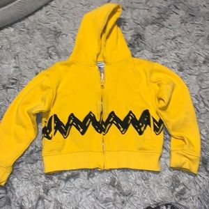 Charlie Brown Zig Zag Stripe Hoodie Peanuts Snoopy